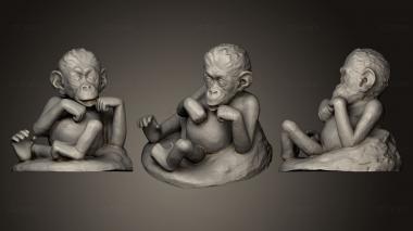 3D модель Новорожденный шимпанзе (STL)